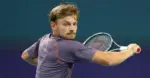 david goffin