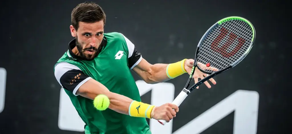 Damir Dzumhur