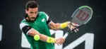 Damir Dzumhur