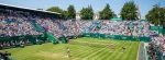 eastbourne atp 250
