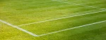 grass court tennis