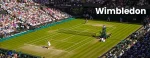 Wimbledon 2024 odds
