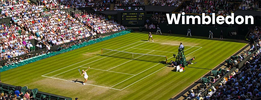 Wimbledon 2024 odds