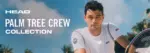head palm tree crew